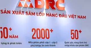 Tổng giám đốc Công ty cổ phần cao su Đà Nẵng bị khởi tố